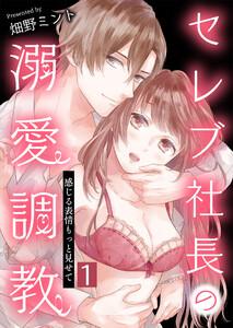 セレブ社長の溺愛調教～感じる表情もっと見せて【単話版】 1話