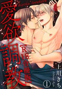 愛欲調教R18合冊版　1巻