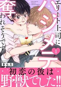 エリート上司にハジメテ奪われそうです【電子単行本版】　1巻