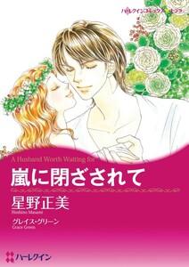 嵐に閉ざされて （分冊版）1話