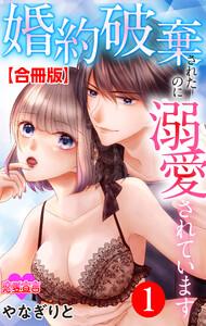 婚約破棄されたのに溺愛されています 合冊版 ： 1