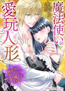 魔法使いの愛玩人形　異世界に落ちたOLは愛と魔力を注がれる01