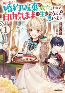 書影