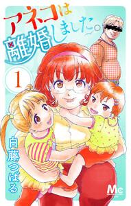 アネコは離婚しました。　1巻