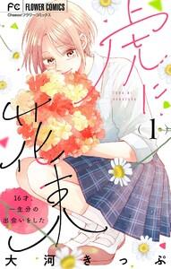書影