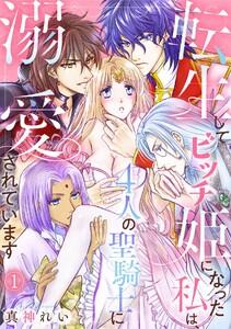 転生してビッチ姫になった私は、4人の聖騎士に溺愛されています1巻