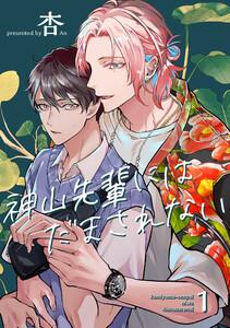 書影