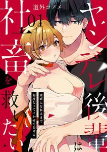書影
