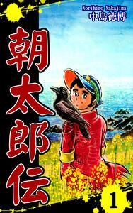 書影