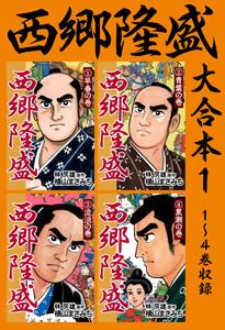 書影