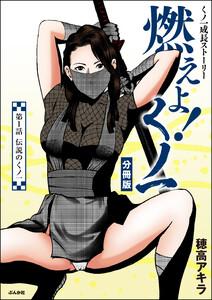 燃えよ!くノ一(分冊版) 【第1話】