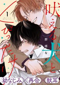 書影