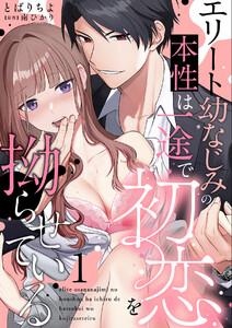 エリート幼なじみの本性は一途で初恋を拗らせている【分冊版】 1話