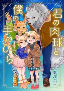 書影