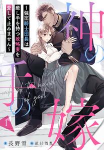 神の手の嫁～強面騎士団長は癒し手を持つ政略妻を愛して止みません～ 1話
