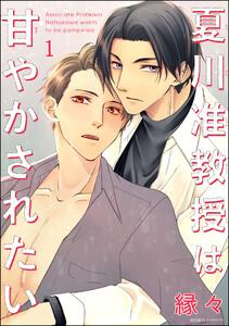 夏川准教授は甘やかされたい（分冊版） 【第1話】