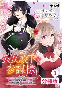 公女殿下の参謀様～『厄災の皇子』と呼ばれて忌み嫌われて殺されかけた僕は、復讐のために帝国に抗い続ける属国の公女殿下に参謀として取り入った結果、最高の幸せを手に入