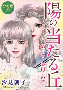 陽の当たる丘　分冊版1　第1章　芙由子の章　分冊版1