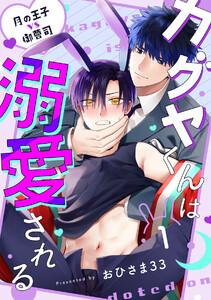 書影