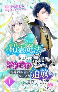 精霊魔法が使えない無能だと婚約破棄されたので、義妹の奴隷になるより追放を選びました　1巻