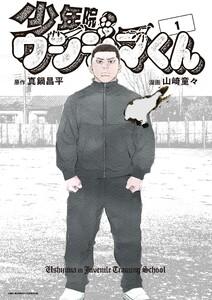 書影