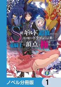 Ｓ級ギルドを追放されたけど、実は俺だけドラゴンの言葉がわかるので、気付いたときには竜騎士の頂点を極めてました。【ノベル分冊版】　1