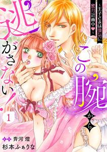 この腕から逃がさない！～王子さまは強気に蜜月計画中～【分冊版】1
