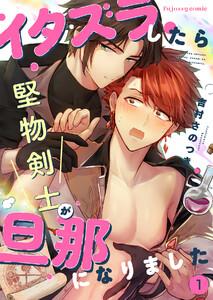 イタズラしたら堅物剣士が旦那になりました　1巻