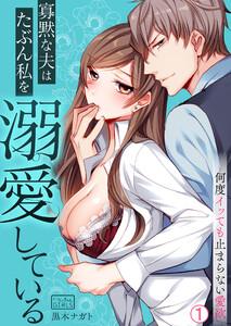 寡黙な夫はたぶん私を溺愛している～何度イッても止まらない愛欲1巻