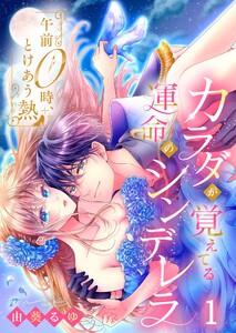午前０時、とけあう熱～カラダが覚えてる運命のシンデレラ（１）