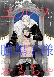 下っ端エルフは腹黒王様のおもちゃ（分冊版） 【第1話】