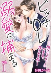 ビッチOL溺愛に捕まる～彼だけのモノになるまで抱かれる夜～　1巻