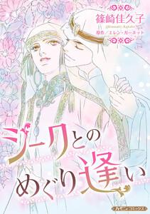 シークとのめぐり逢い【新装版】