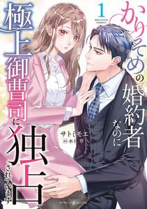 かりそめの婚約者なのに極上御曹司に独占されています１