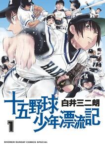 書影