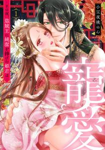 寵愛～その夜、盗賊王に純潔を捧げた姫君は～【単話】　1巻