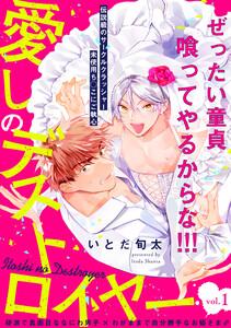 愛しのデストロイヤー1巻