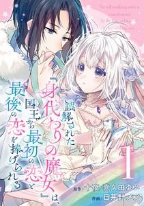 誤解された『身代わりの魔女』は、国王から最初の恋と最後の恋を捧げられる（コミック）【分冊版】　1巻