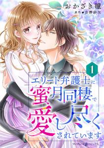 エリート弁護士に蜜月同棲で愛し尽くされています【分冊版】1話