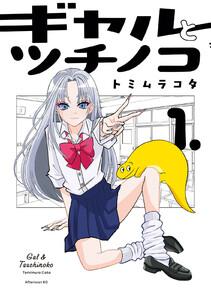 書影