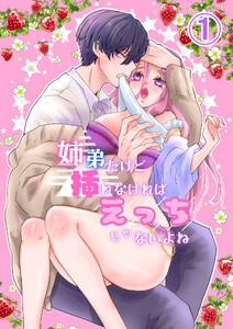 姉弟だけど挿れなければえっちじゃないよね1