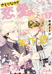 書影