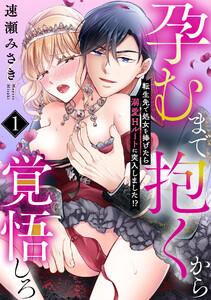 孕むまで抱くから覚悟しろ～転生先で処女を捧げたら溺愛Hルートに突入しました!?～1巻