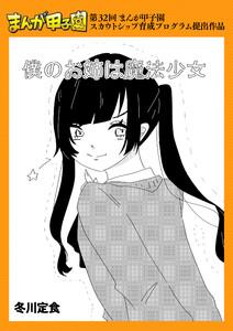 僕のお姉は魔法少女