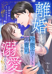 離婚したはずなのに、冷徹エリート御曹司に容赦なく溺愛されています　1巻