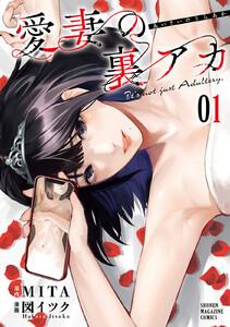 愛妻の裏アカ　1巻