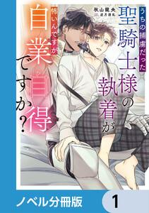 うちの捕虜だった聖騎士様の執着が怖いんですが自業自得ですか？【ノベル分冊版】　1