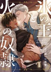 氷の王と火の奴隷（１）