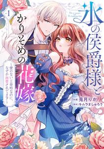 【特装版】氷の侯爵様とかりそめの花嫁～愛のない王命婚なのに、なぜか溺愛されてます～（１）