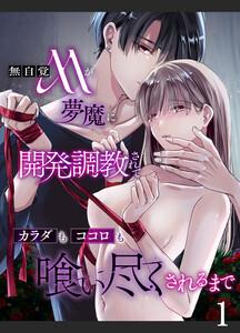 無自覚Mが夢魔に開発調教されてカラダもココロも喰い尽くされるまで1